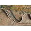 Tapis traditionnel rétro 10 x 13