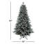 Arbre Holliston-1847440706