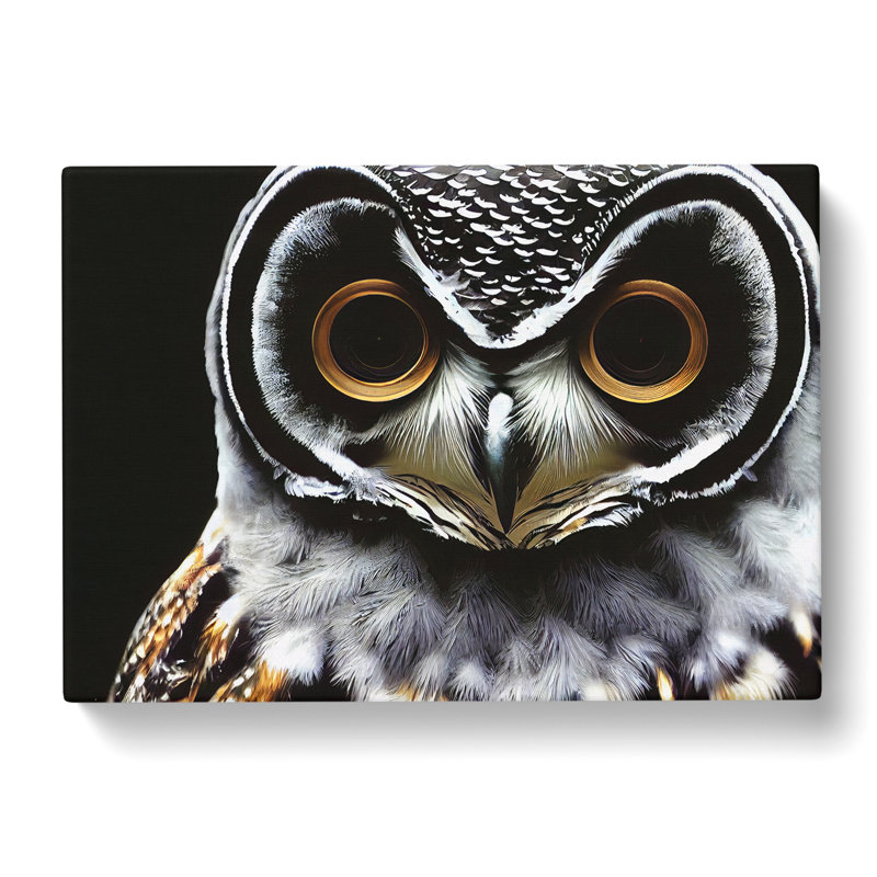 Favourable Owl - Wrapped Canvas, 35cm H x 50cm W x 3cm D