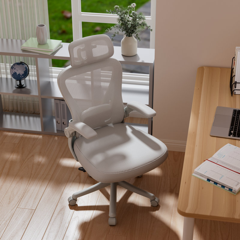 Gelbert Ergonomic Mesh Office Chair Task Chair with Headrest, Home Office Desk Chair, Gray