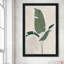 Palmier botanique II - Peinture-859631835-859631808
