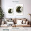 Ours Brampt Winter Conseils-108627975
