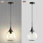 Luminaire suspendu simple à 1 lumière avec verre transparent-1260606666