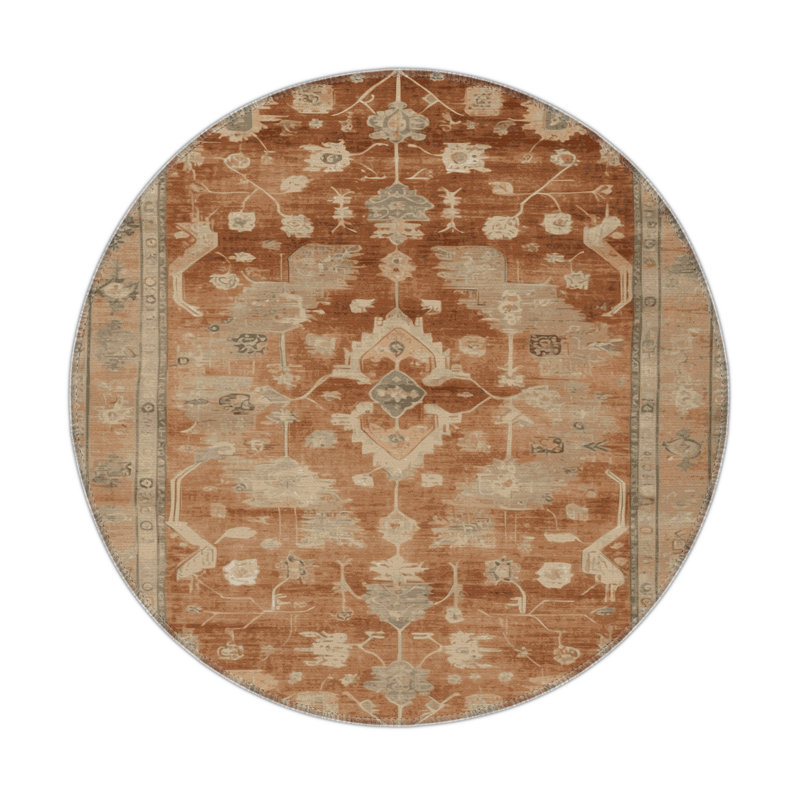 Overdyed Brown Indoor and Outdoor Area Rug, Round 5'