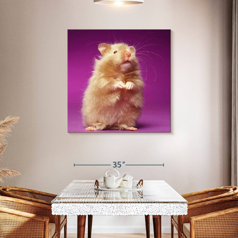 Ketti Fluffy Hamster, 39" H x 39" W