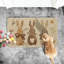 Paillasson Rabbit Carrots Eggs