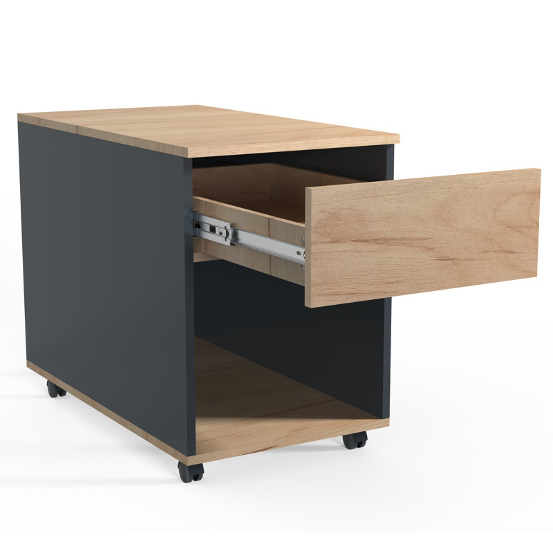Remedios 39cm Wide File Cabinet, Black/Brown, 70cm H x 39cm W x 55cm D