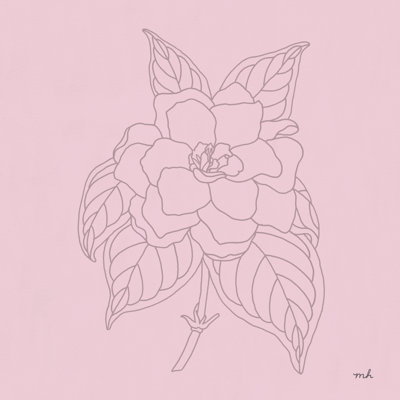 " Gardenia Line Drawing Pink " by Moira Hershey