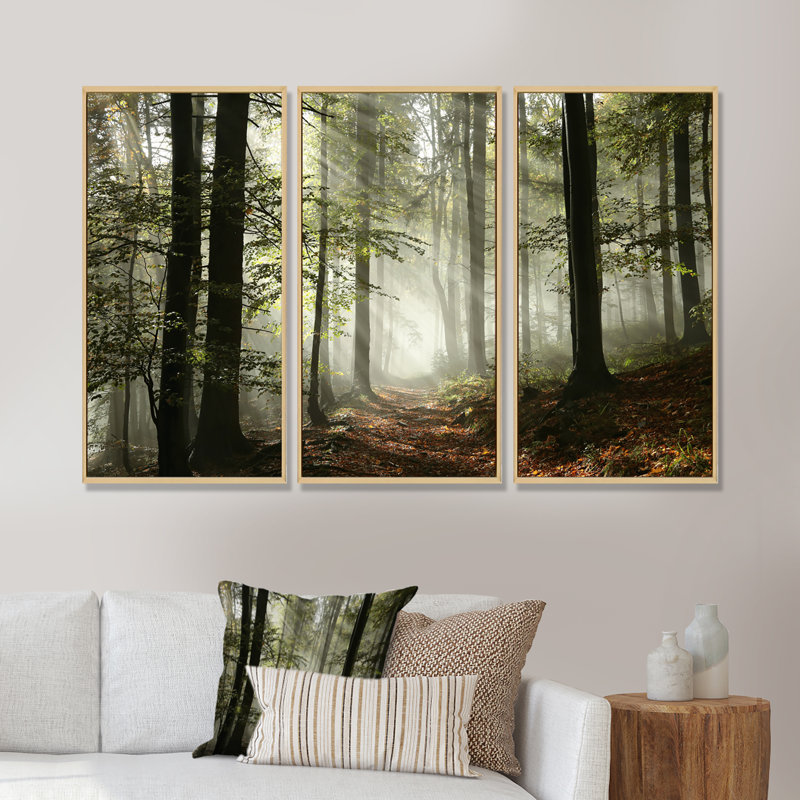 «Light In Dense Fall Forest With Fog», ensemble d'art mural sur toile encadré paysage, H 32 po x l 48 po, Cadre brun
