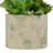 8'' Faux Succulent Plant