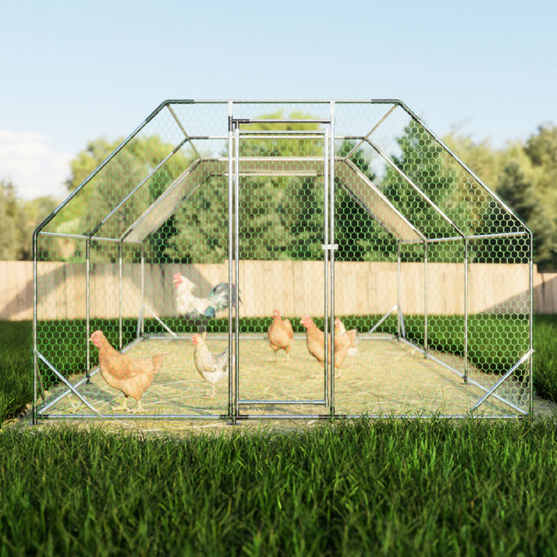 10 pi. X 20 pi. Cage à poulailler en métal galvanisé avec filet pour poulailler Farm