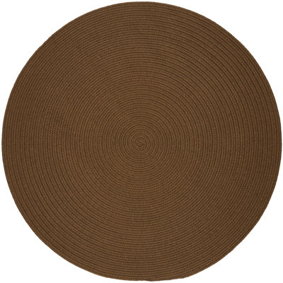 Smyth Hand Braided Synthetic Indoor / Outdoor Rug
