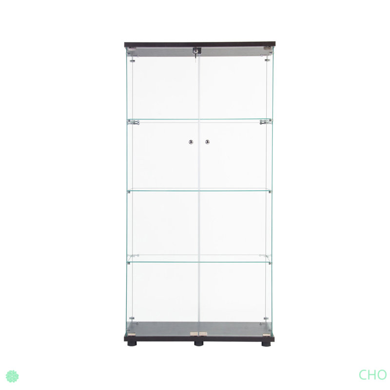 Armoire vitrée à 2 portes avec 4 lumières DEL, Noir, noir, noir, noir