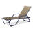 Outdoor Rust-Resistant Metal Chaise Lounge-19510310-48935084