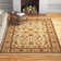 Cokeley Oriental Indoor Rug