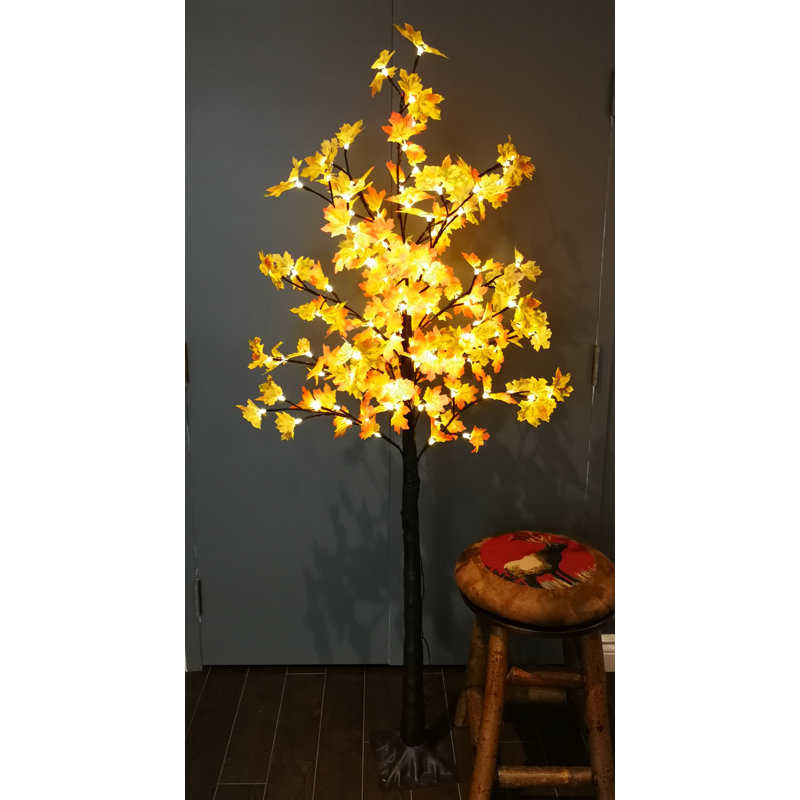 Arbre lumineux pour érable pré-éclairé