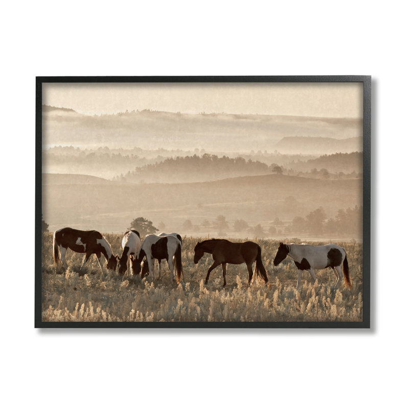 «Ba-315», chevaux encadrés sur une colline par Danita Delimont, Giclée encadrée noir minuit, H 24 po x l 30 po x P 1,5 po