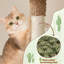 Arbre à chat 42 "Gilpin Cactus-901256355