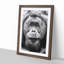 Orangutan - Picture Frame Graphic Art Print-55733784-55733787