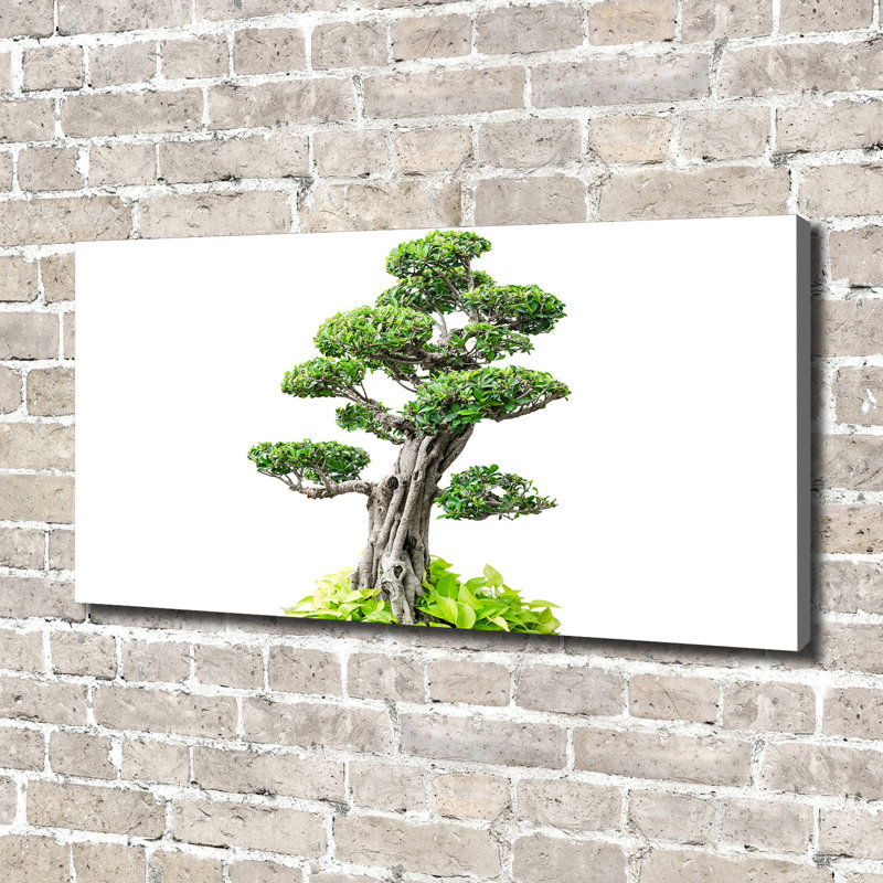 Bonsai Tree 1 Piece Wrapped Canvas Wall Art