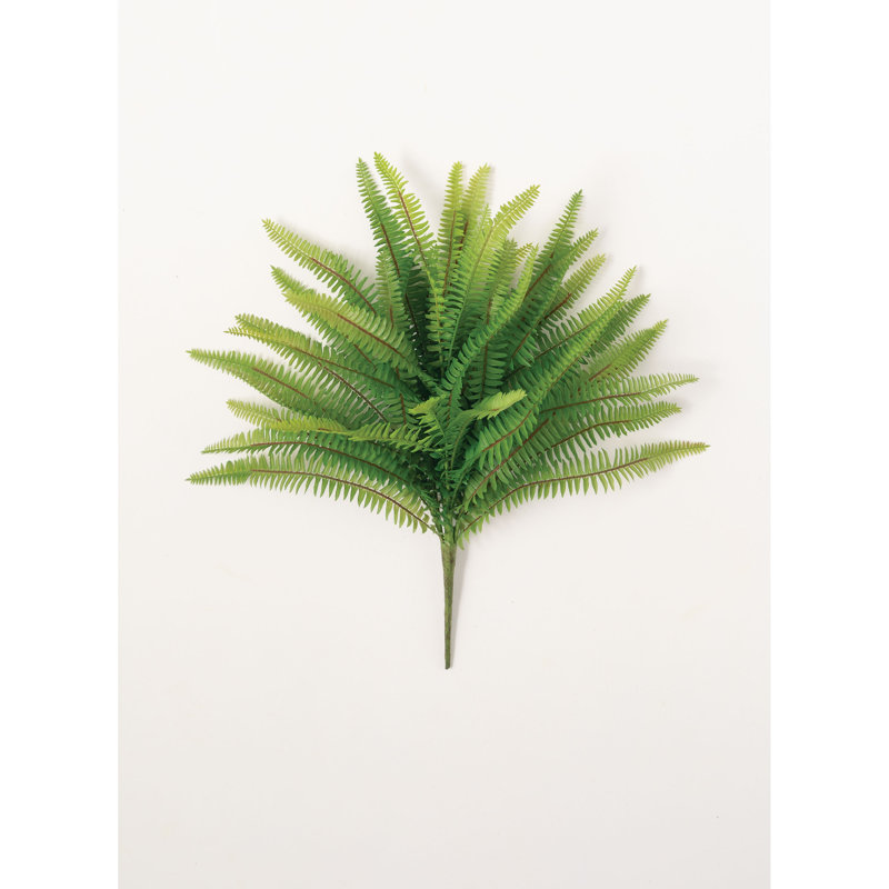 Douille de palm