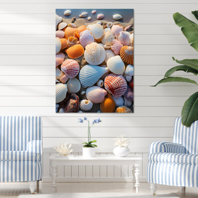 «Beach Photo Sunlit Shells II», reproduction sur toile