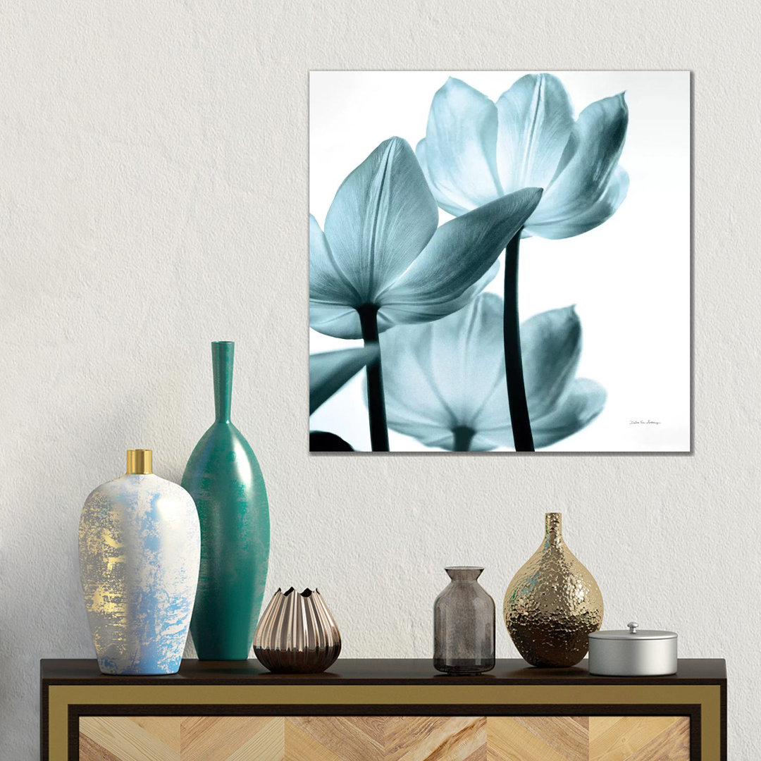 Transluzente Tulpen III in Aqua von Debra Van Swearingen - Galerie-verpackte Leinwand Giclée auf Leinwand