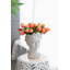 Fausse tulipe Tucson-1761452375-1761452368