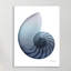 Lavendar Snail 4 - Wrapped Canvas Print-483228149