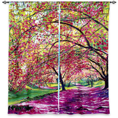 Calina Room Darkening Curtain Pair