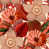 Red/Taupe