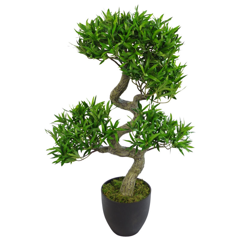 Anlin 75cm Faux Podocarpus Tree in Pot