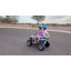 VTT 24 roues 4 roues pour enfants, véhicule tout-terrain 2 places pour les 6 à 12 ans-73442802