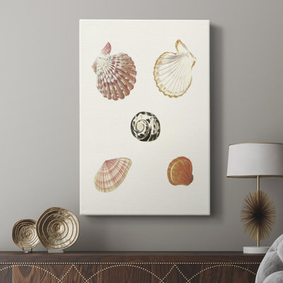 Pastel Knorr Shells 8 - galerie Cavas sur mesure