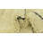 Oliver Ivory Rug