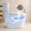 Toilette une pièce Sanoxis avec siège à fermeture douce, hauteur Ada de 16 po, cuve allongée, siphonique 1,28 GPP, double chasse à pression latérale