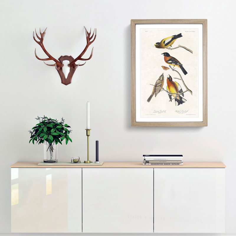 Grosbeak Birds by John Audubon - Picture Frame Painting Print, 65cm H x 48cm W x 2cm D, Oak Framed