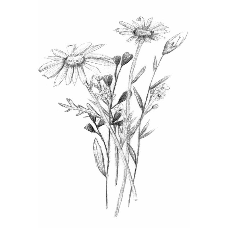 Hiding II by Melissa Wang - Drawing, 30cm H x 20cm W, Black Floater Framed