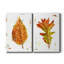 Autumn Leaf Study III, toile tendue avec châssis de qualité supérieure - prête à être accrochée-1344431320