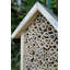 Thorgard Weather Resistant Insect Cage