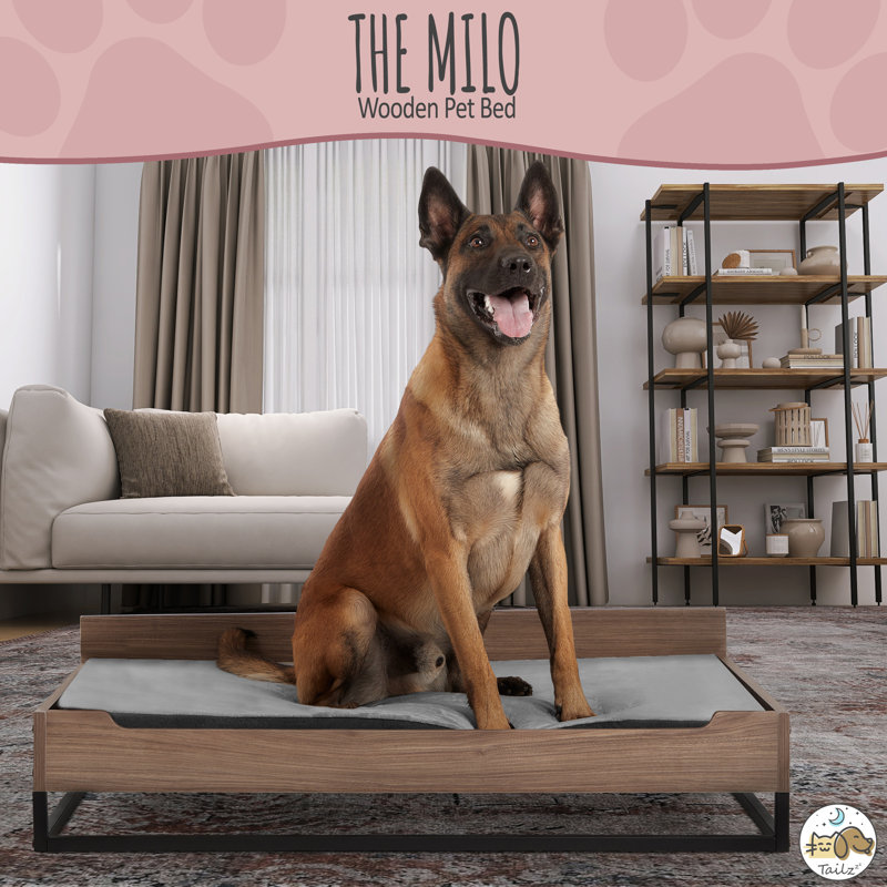 Polyester Pet Bed, Large (43.43" L x 33.43" W x 11" H)