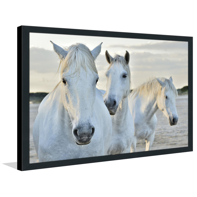 "White Horses" Framed Photographic Print, 35.5" H x 51.5" W x 0.75" D