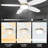 Mintun 48'' Flush Mount Ceiling Fan with Light-645014212