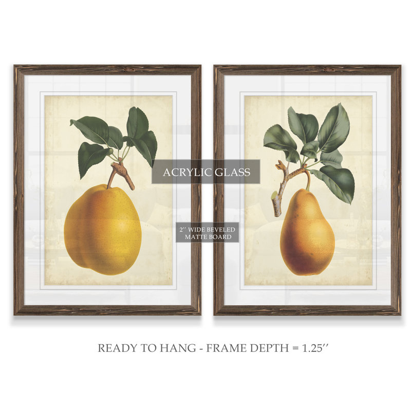 Antique Pear Botanical I par Vincent Van Gogh - ensemble de 2 reproductions d'art encadrées, H 24 po x l 18 po x P 1,25 po