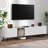 Evanuk Modern TV Stand, Media Console Table, Entertainment Center with Large Storage Cabinet -428297483