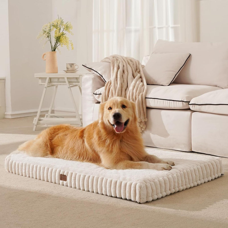 Pet Bed