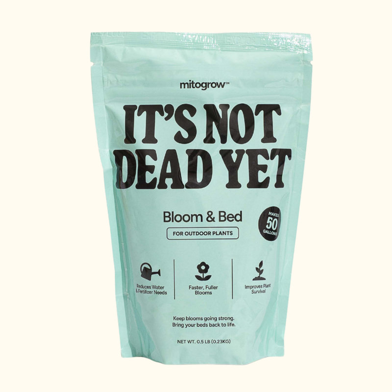 Bio-stimulant Mitogrow Bloom & Bed Plant, Turquoise