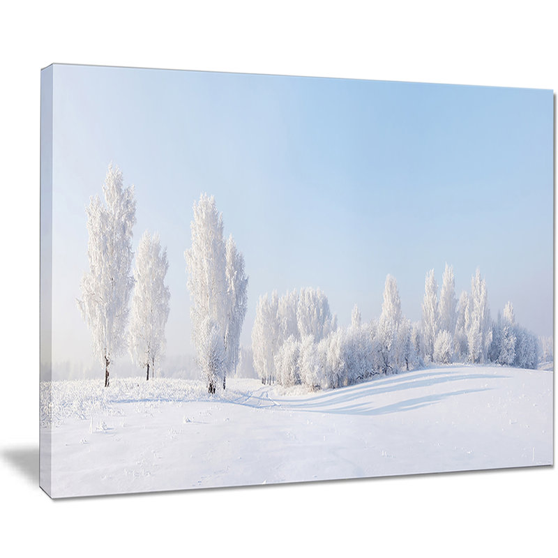 « winter trees recouvert de frost », impression sur toile, H 30 po x l 40 po x P 1 po