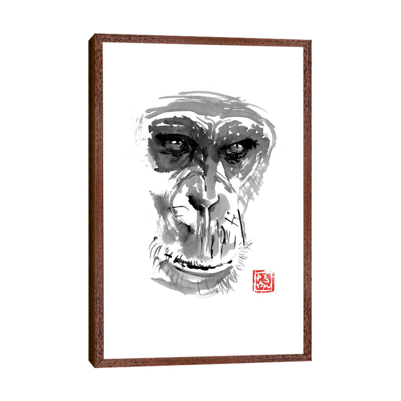 Chimpanzee by Péchane - Print on Canvas, Classic Brown Wood Framed, 101.6 cm H x 66.04 cm W