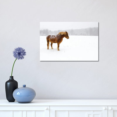 Snowbound 1 Piece Wrapped Canvas Wall Art